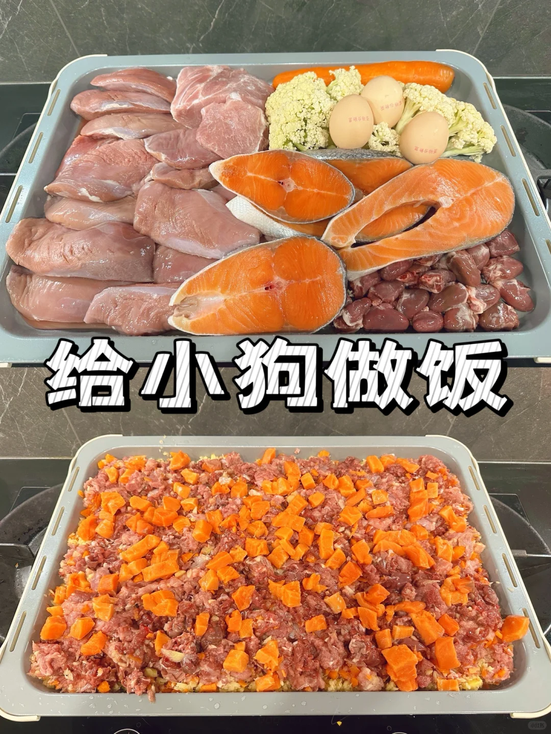 周末给小狗做饭