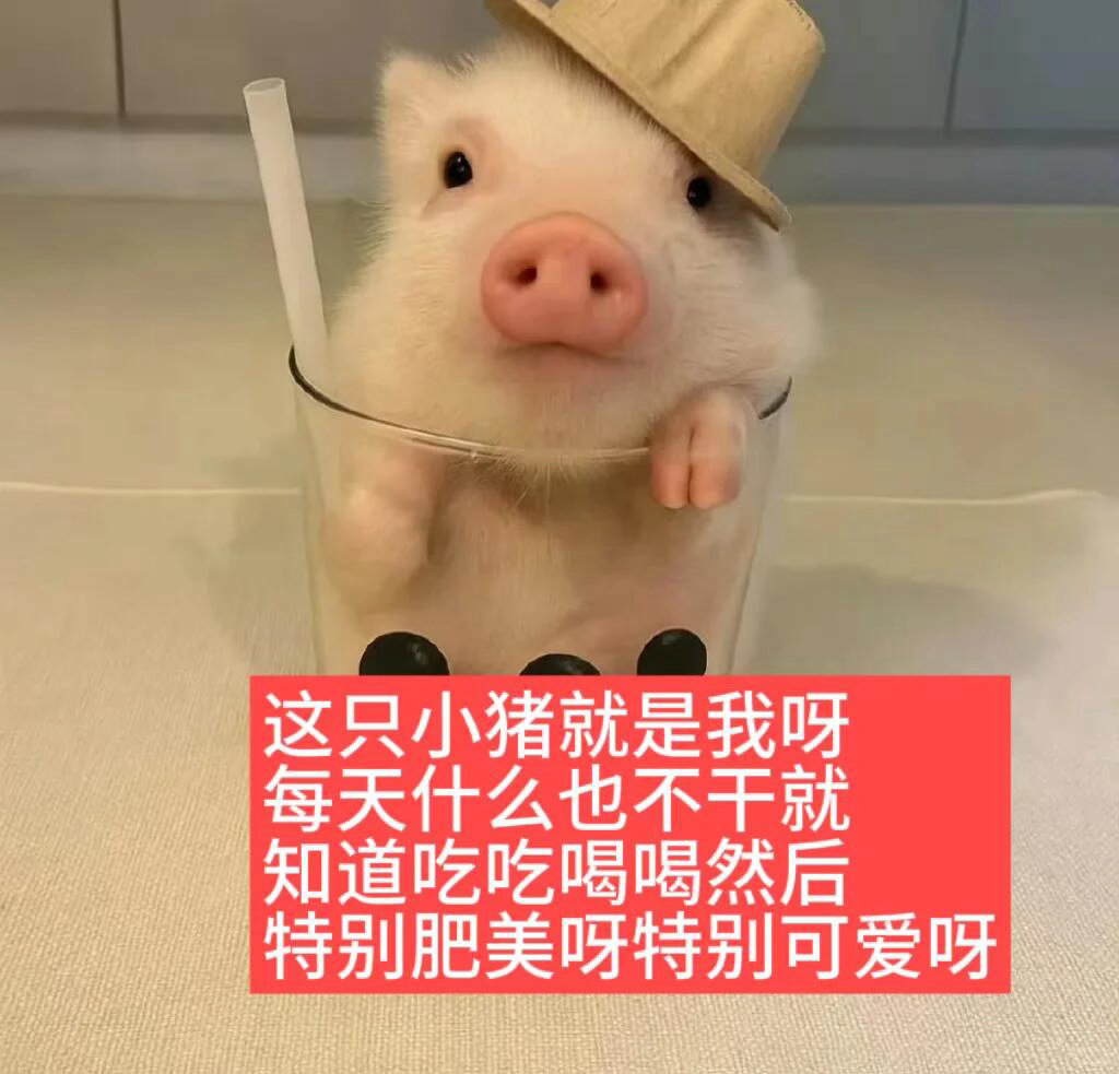 审猪积累 | 好自为猪感觉自己每天好呆萌，好懵逼呀，怎么就活成这样了？好疑惑呀，