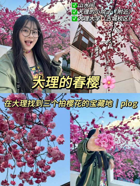 我在大理找到了3️⃣个拍樱花的宝藏地🌸