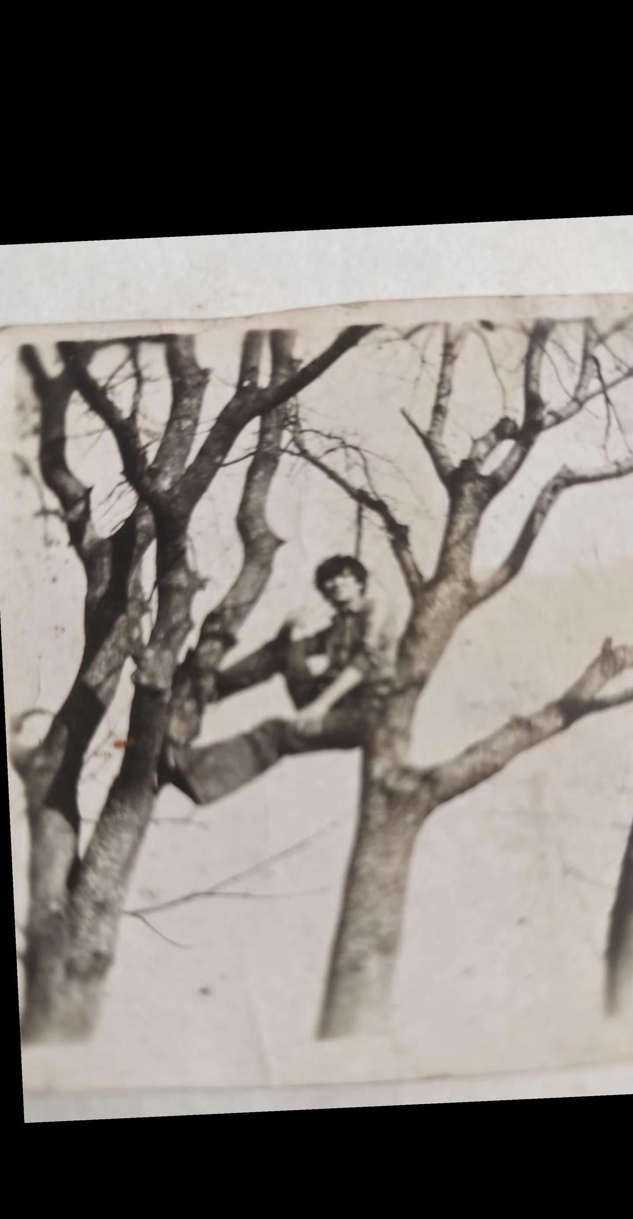 十八岁的小伙子👍😁