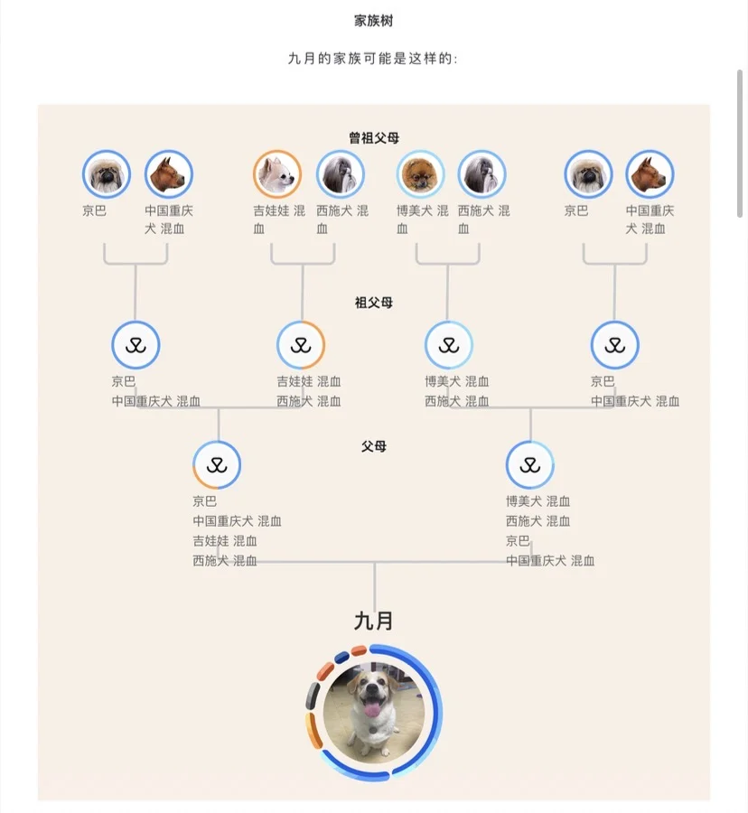 白胖胖的基因检测结果出来啦，大家猜对没