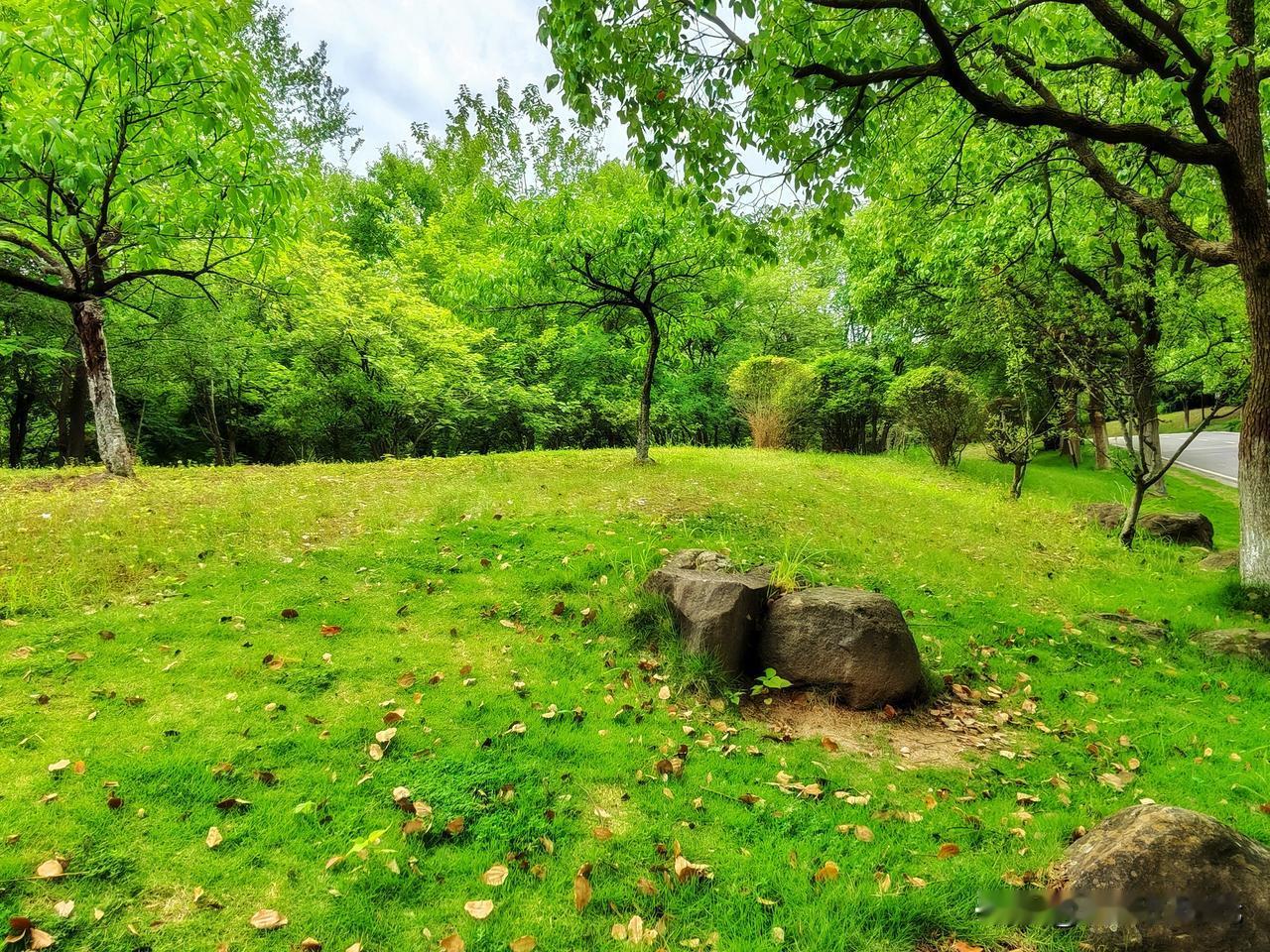 野径铺青，落叶随云去；
闲山染翠，黄花带露开。
——南京方山风景区