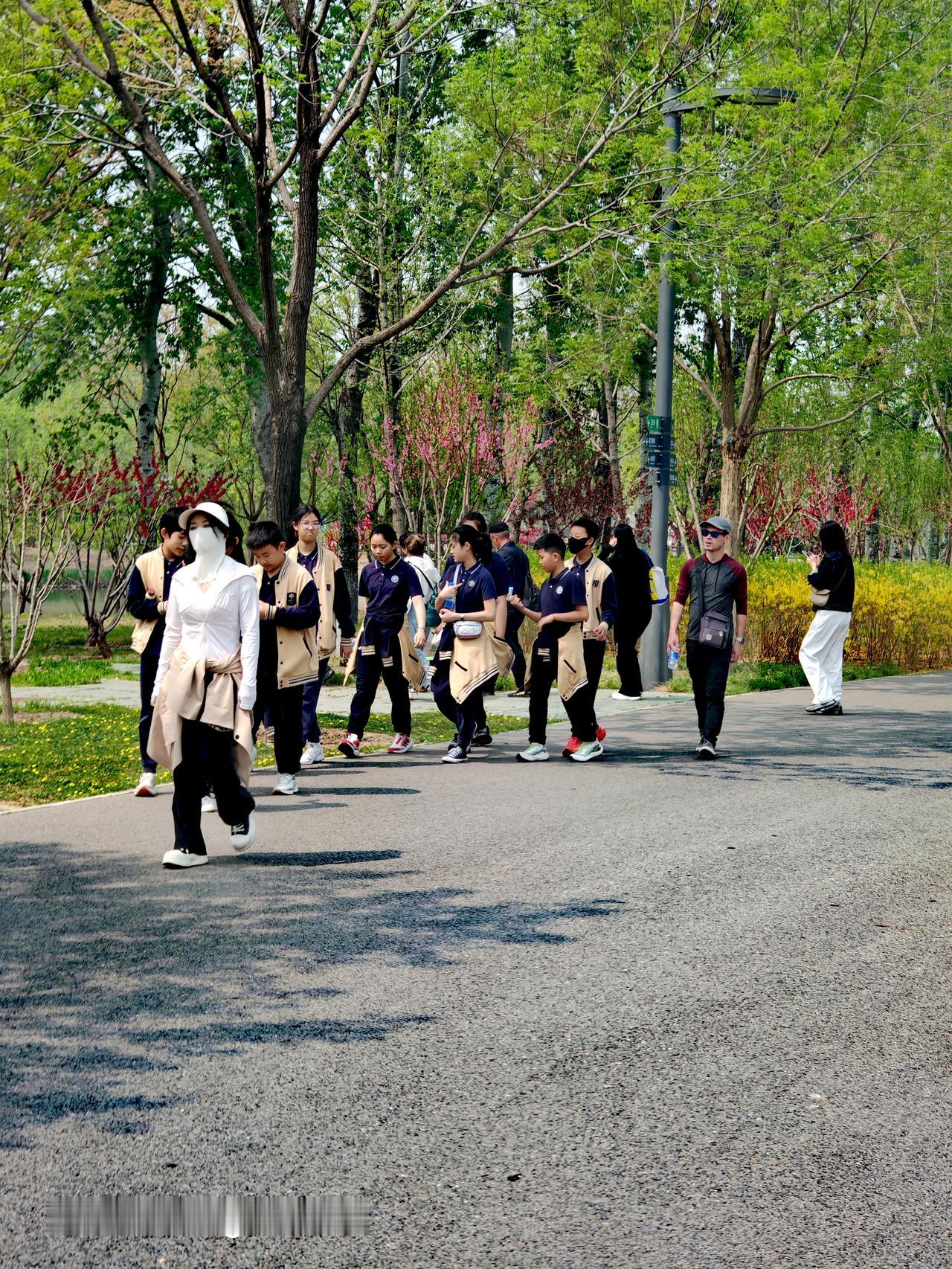 城市绿心森林公园简直是学生春游的宝藏地！清明前后，这里樱花灿烂得像云霞，有绝美的