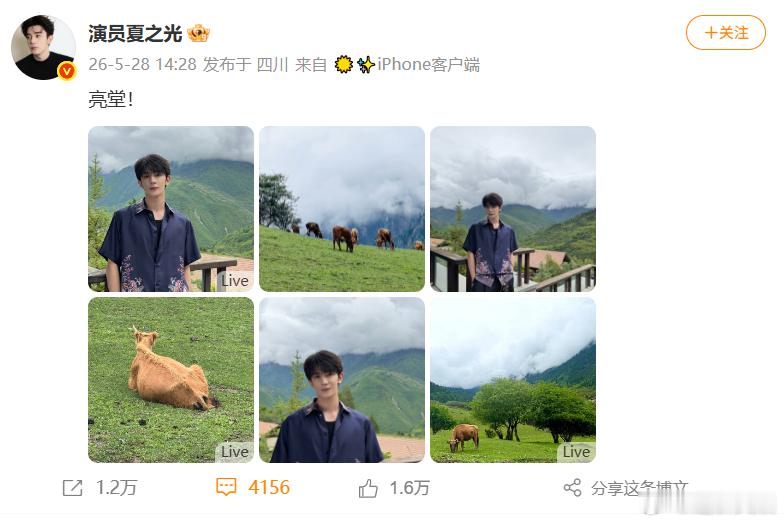 夏之光粉丝在线帮P图夏之光亮堂生图谁不说一句夏之光生图比精修好看！亮堂生图干净透