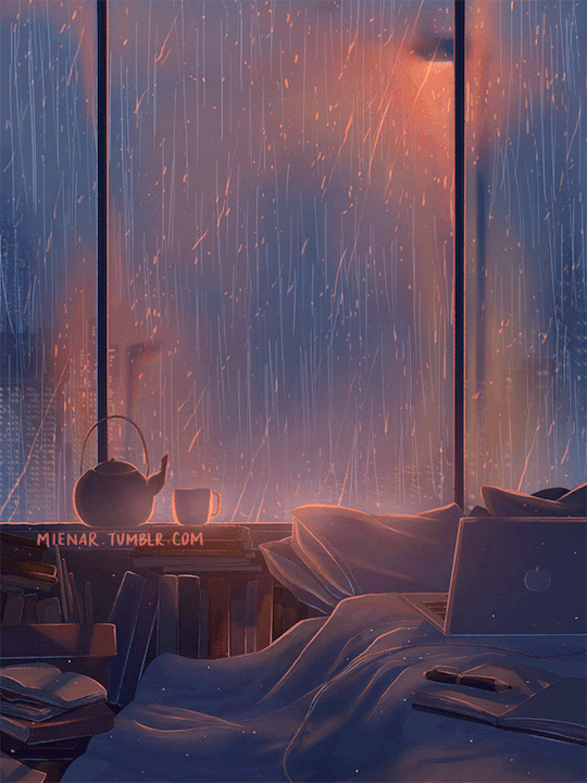 窗外暴雨再狂澜，淋不湿屋内的你，我是暴雨，你仍是你。 好书一大摞的橱窗
