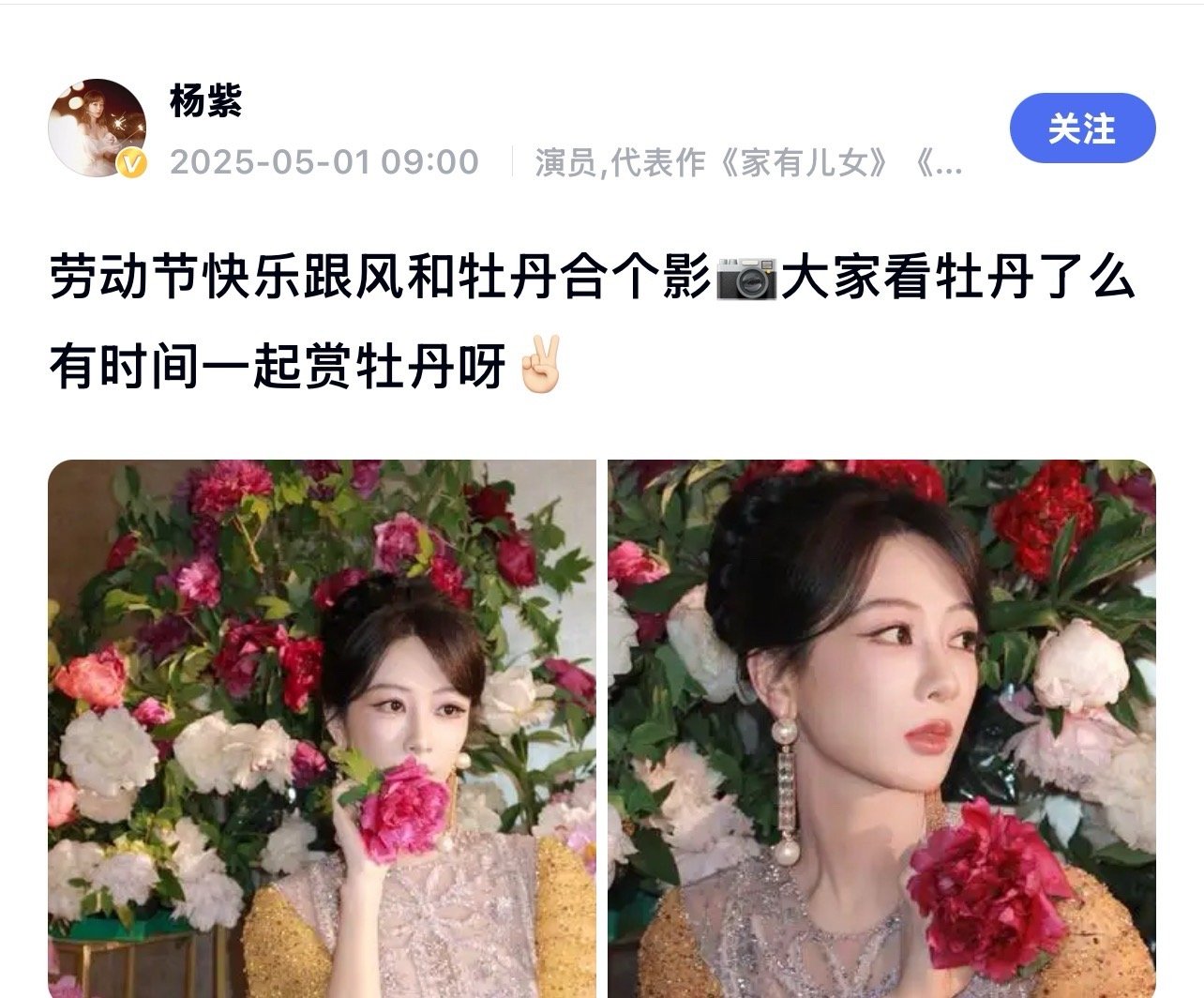 杨紫[超话] 杨紫五一晒牡丹合影！劳动节快乐跟风和牡丹合个影📷大家看牡丹了么 