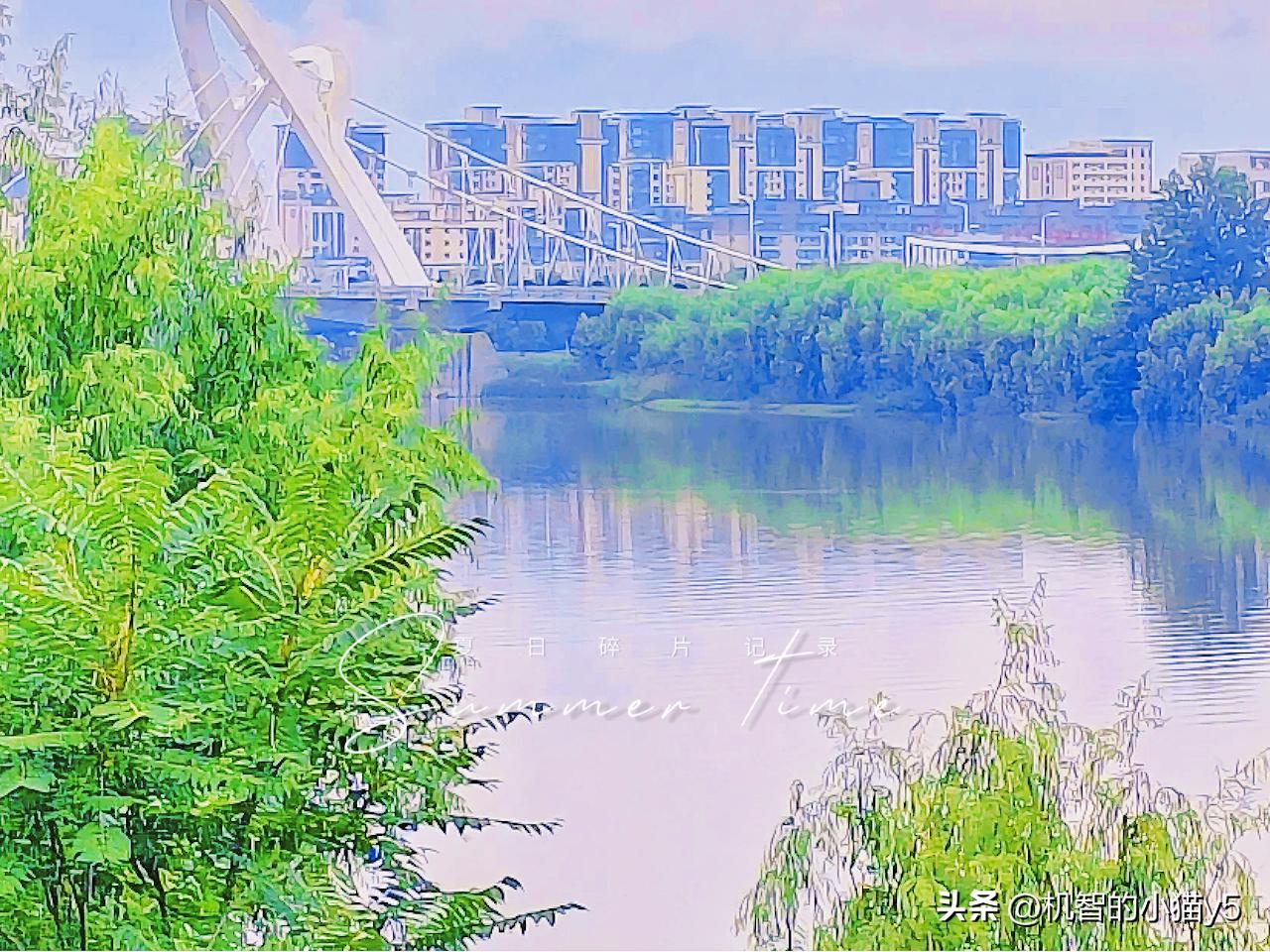 夏日生活打卡季