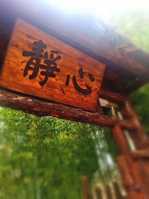 觉醒后，
要坚定相信，
一切相遇，
都是你前行路上的助缘！
遭遇苦难，
会加持你