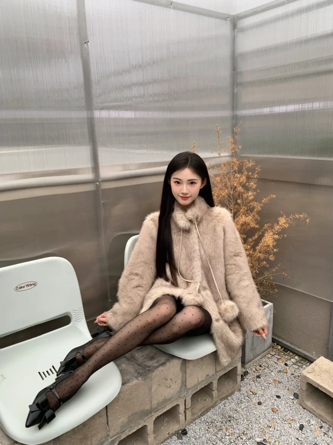 喵ᯠ_  ̫ _ᯄ ੭