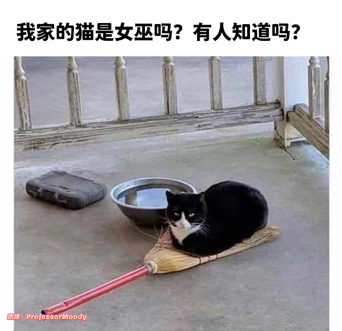 有懂行的吗？#meme# / #笑料江湖争霸赛# ​​​