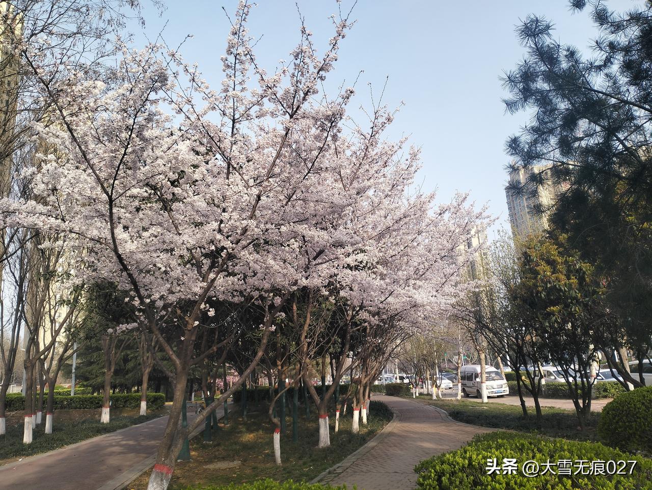 春天来了，但要享受春天，你得先有体力和决心！
周末特意早起，想去公园跑跑步，给身