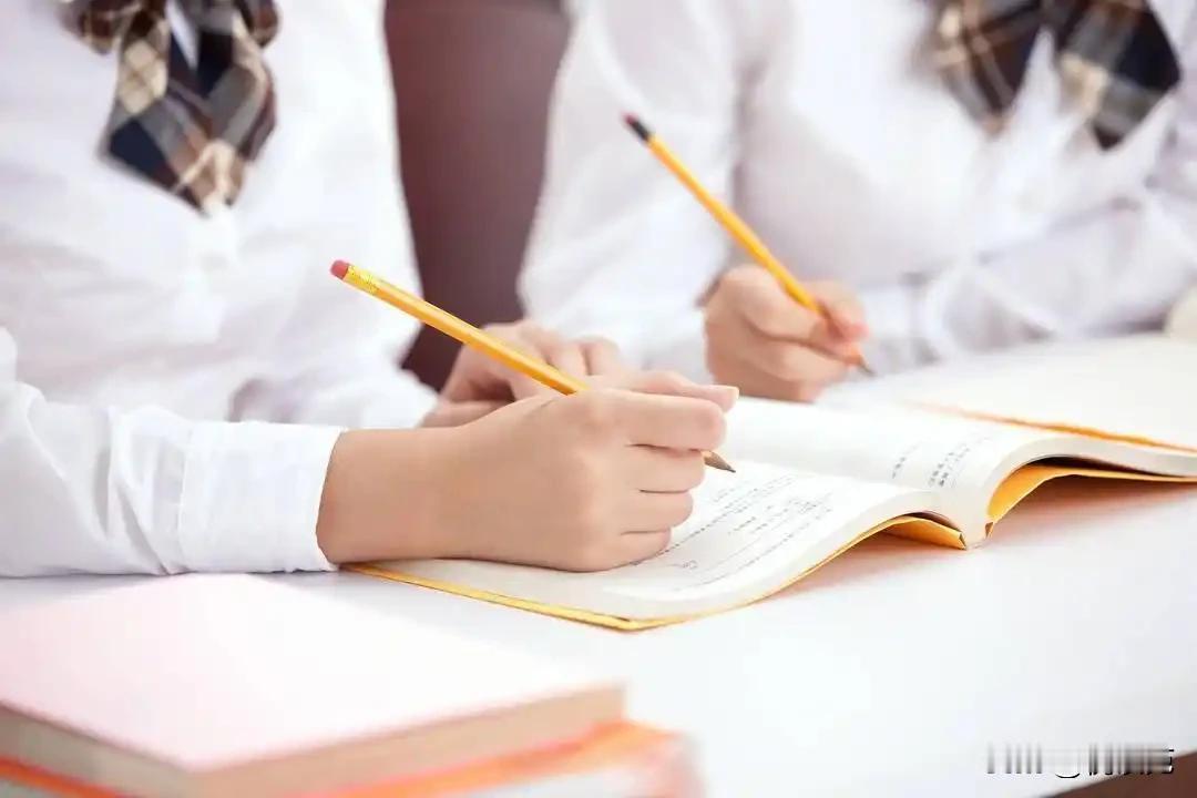 2025 年 4 月 11 日，教育部官网挂出的《查处中小学违规办学行为典型案例