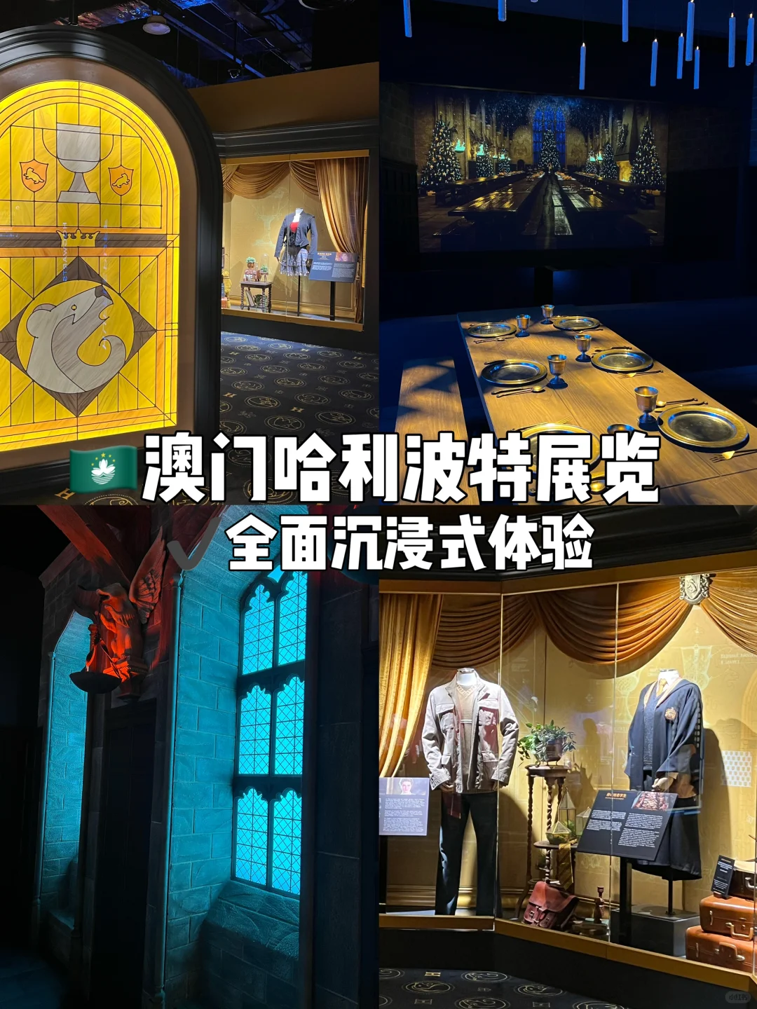 🇲🇴澳门还是太超前了……有哈利波特展览！！