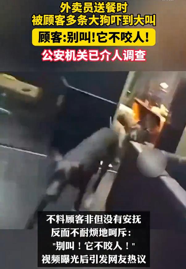 “别叫，它不咬人！”外卖员被3烈犬吓尖叫主人说不咬人，不但不安慰外卖员，反而吼外