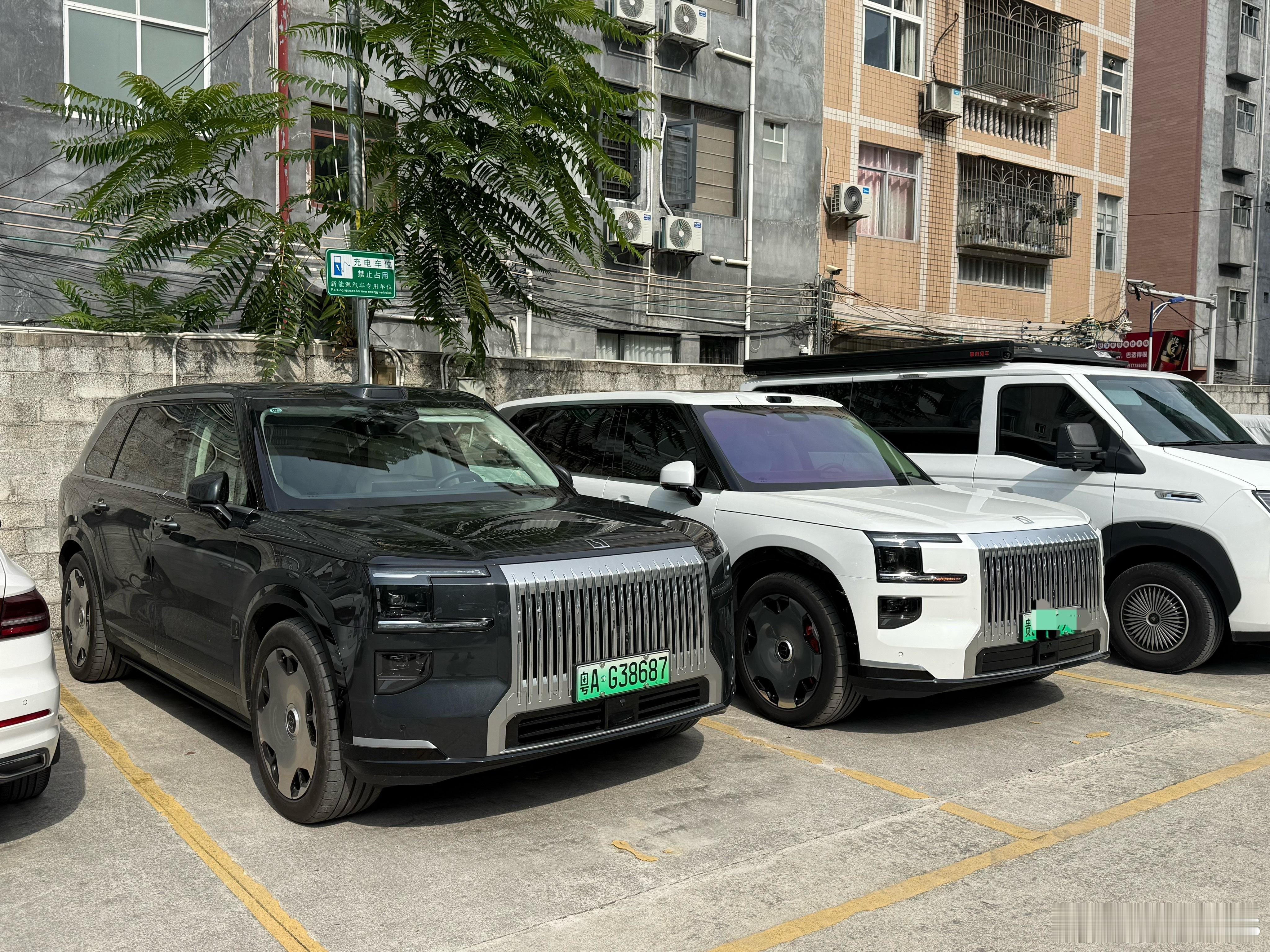 广西遇见极氪9x车友，连个ling都是同款的！ 