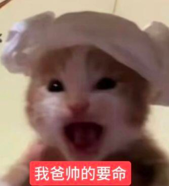 寿司到底啥意思，祁煜是鱼鱼小妹是米饭然后一直黏一起吗……？
