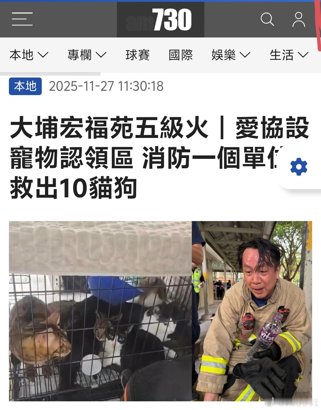 香港火灾被救出的宠物们 香港大火焚烧逾18小时仍未救熄，伤亡惨重。截至今日（27