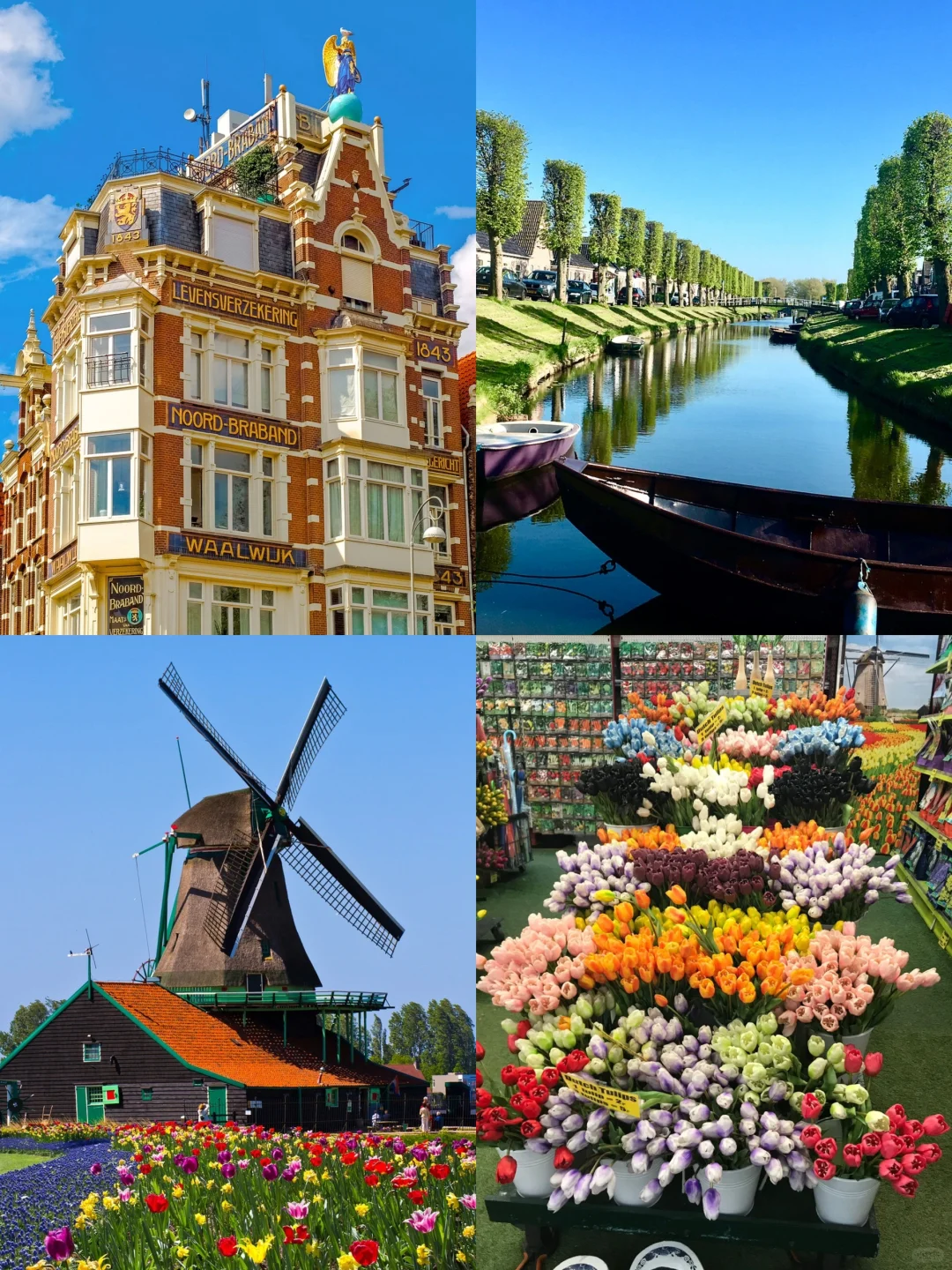 今天的网就上到这了🇳🇱我先去荷兰一趟