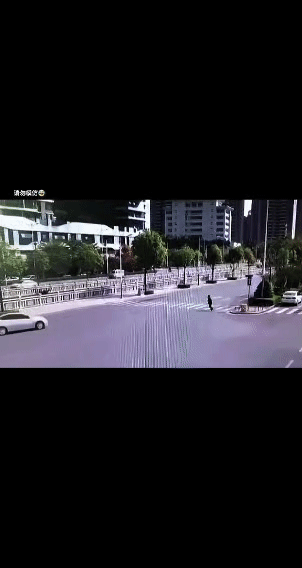 他来了，他来了，他迈着自信的小碎步来了！
 
只见这位“职业演员”瞄准了路口的白