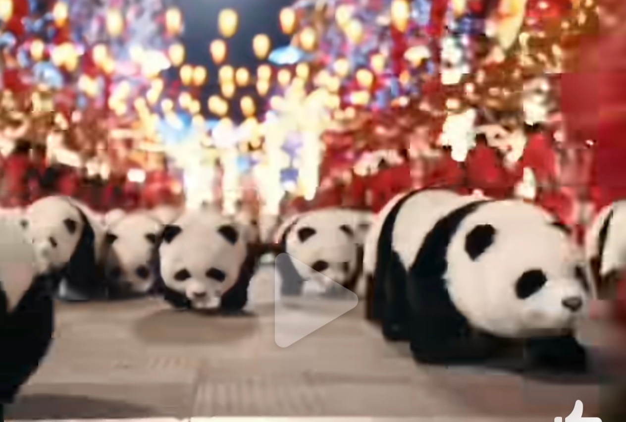 熊猫机器人一起跳舞也太可爱了！又萌又整齐，看着就开心。把国宝形象和科技结合得超棒