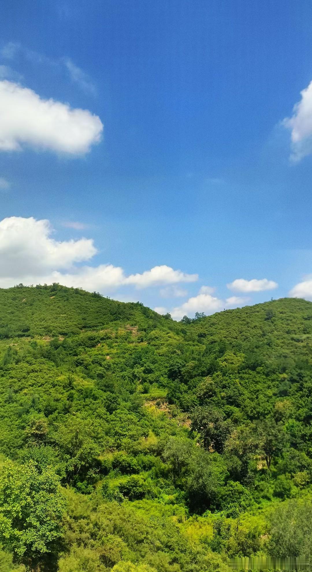 每一次每一期旅行路線規劃比較好，今年整個暑假都非常的忙碌，趁著還有幾日不忙的時間