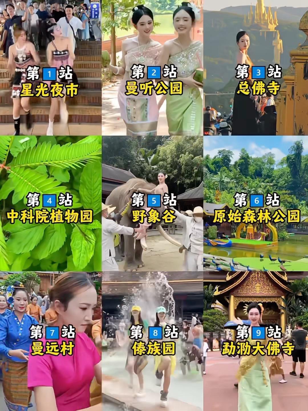 4月来版纳必打卡的精华景点。