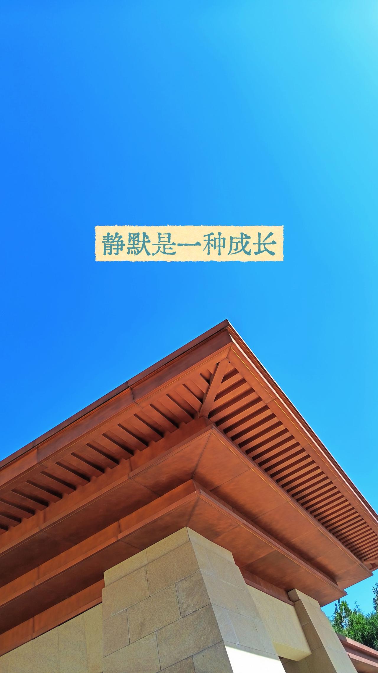 静默可以让人疗愈，也可以积攒力量，更可以让人强大和成熟成长路上的必修课 阶段性成