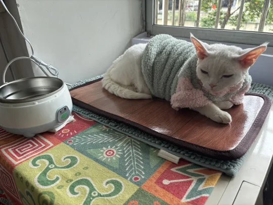 德文的家长们，做好过冬准备了吗？