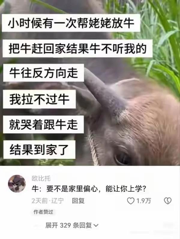 牛：知道我带他多辛苦了吧[泪奔]