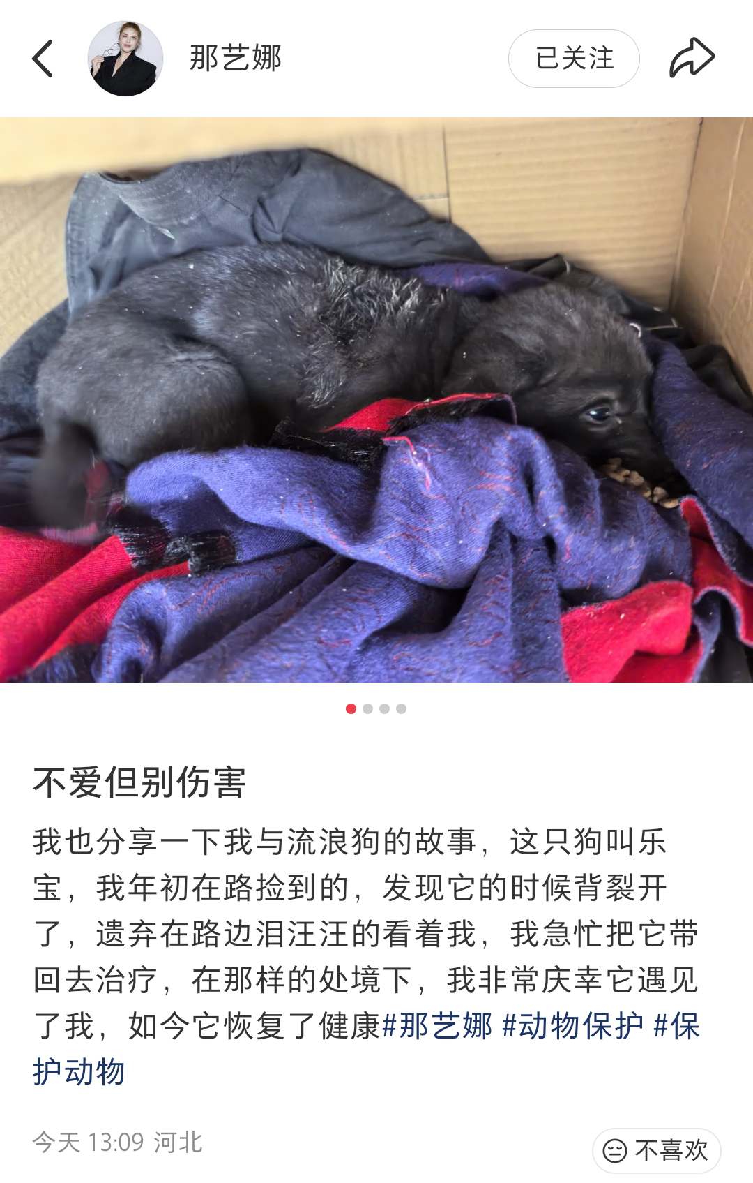 那艺娜为流浪动物发声:我也分享一下我与流浪狗的故事，这只狗叫乐宝，我年初在路捡到