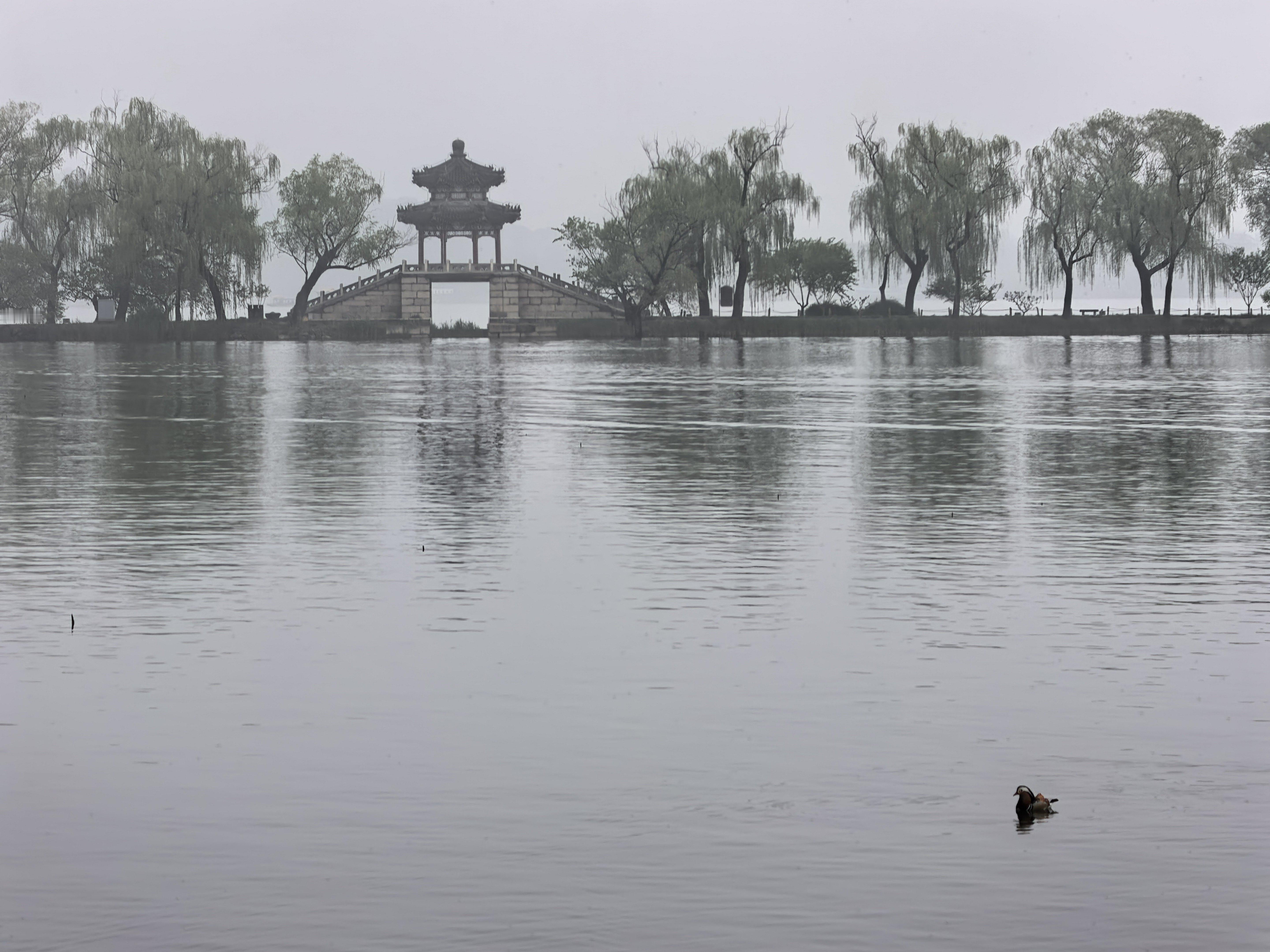 S-感谢大家关心啊，聊聊股票。最近行情还是不错的，赚钱效应比较明显。核心还是围绕