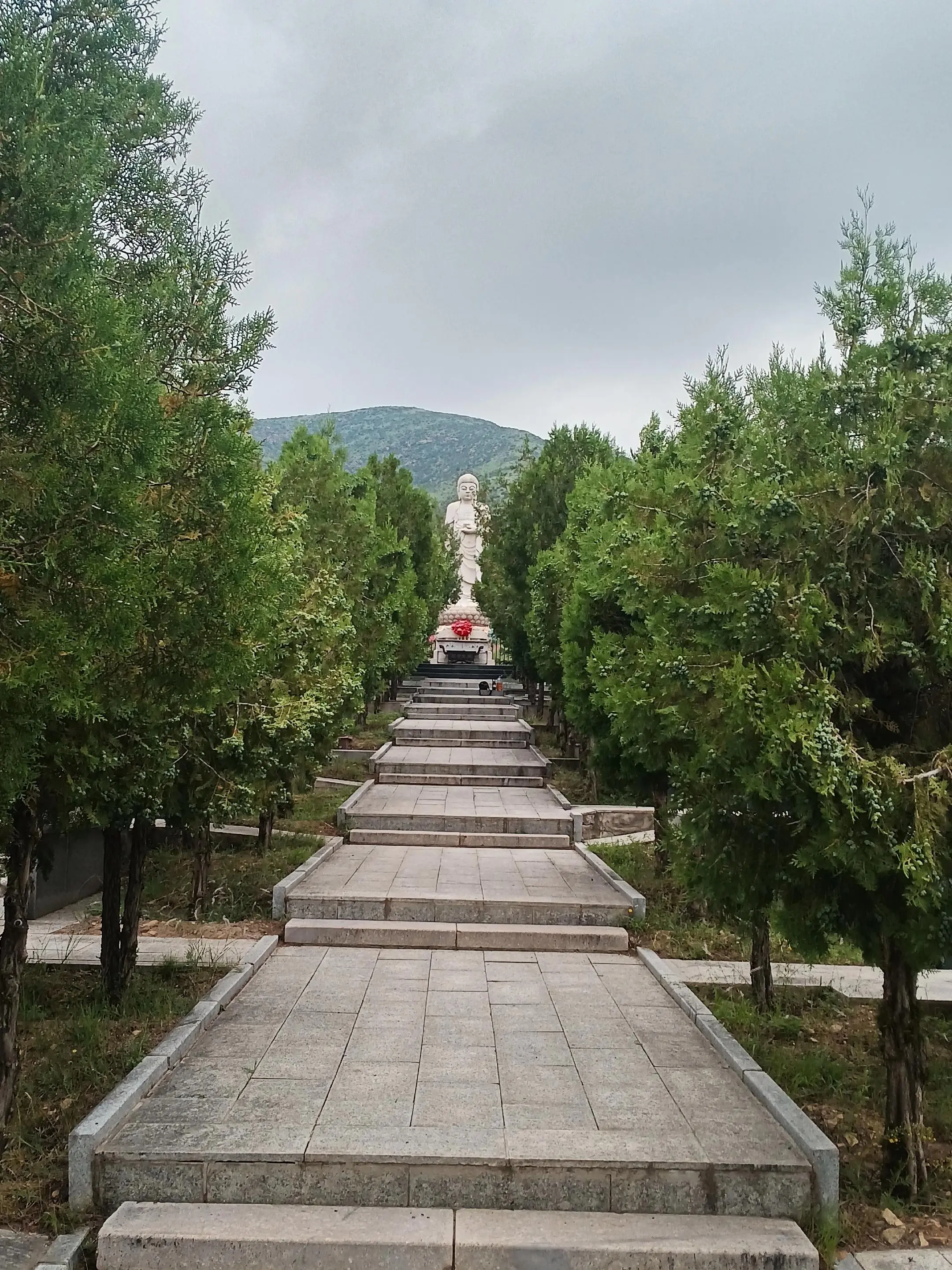 何为遗憾？ 父走，我留不住！无能为力！ 可否具体？ 怀而不在！念而不得...