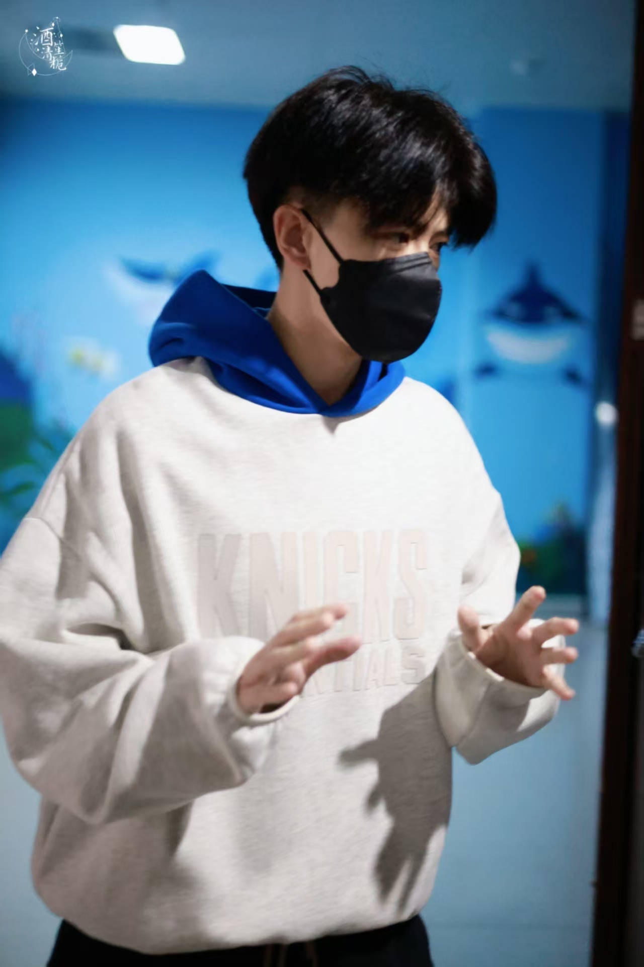 任嘉伦[超话]  11✨ ⁵²⁰₁₃₁₄º ❥❥ 任嘉伦💖⁴¹¹山谷的树，耳畔