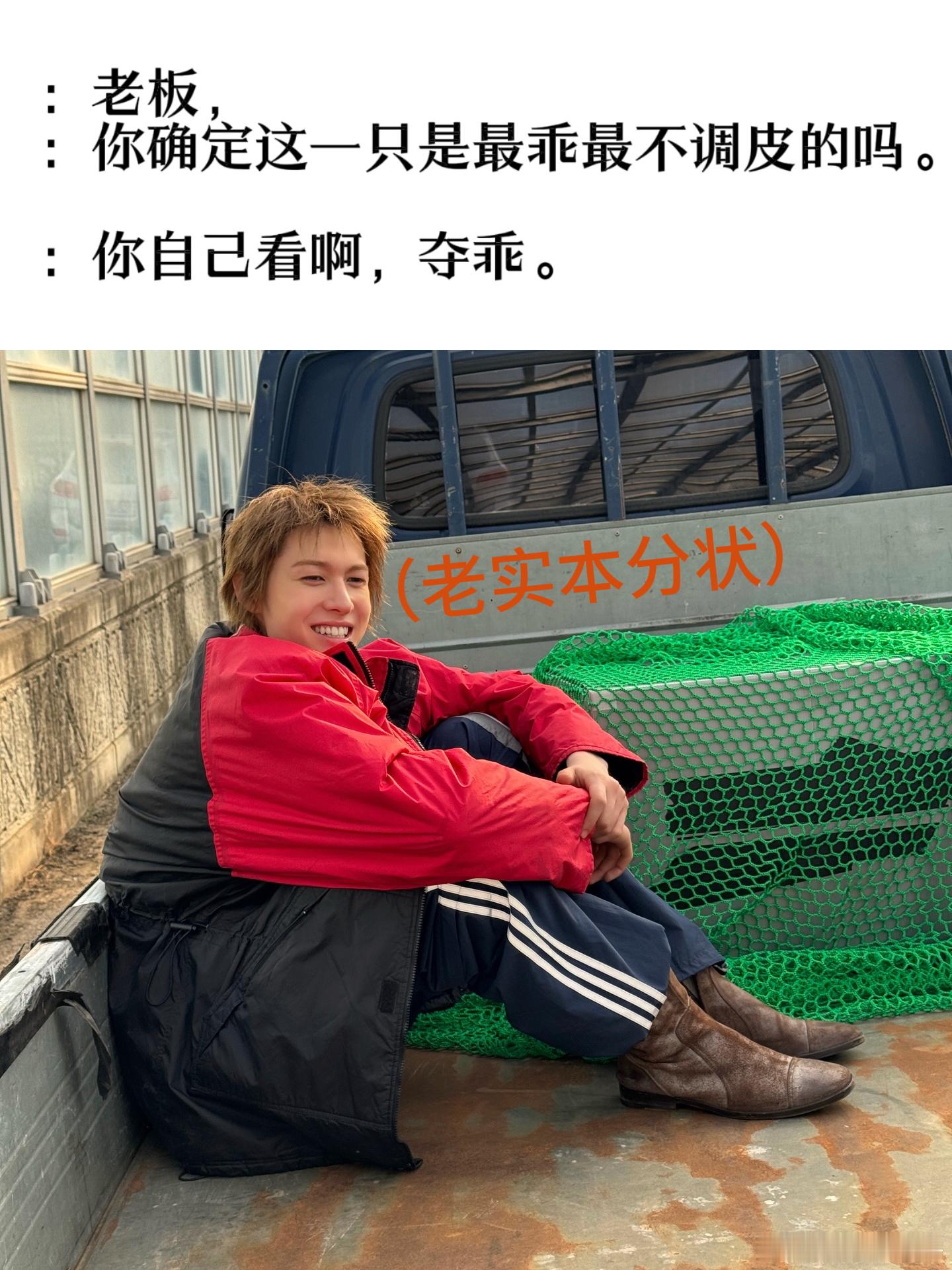 《新狗到家的前八天》 