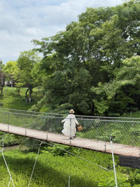 赣州市内吊桥⛲️好森系的公园好好拍🌳