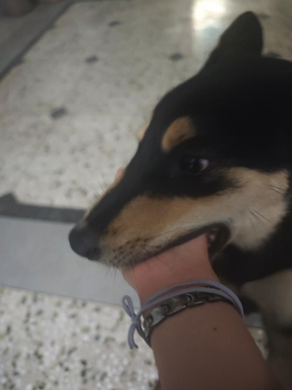 心灵丑 ​​​