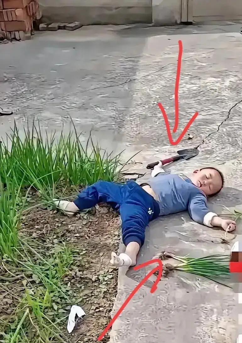 一奶奶做饭要拨水葱icon，孙子自告奋勇替奶奶去挖，结果饭都做熟了还不见孙子回来