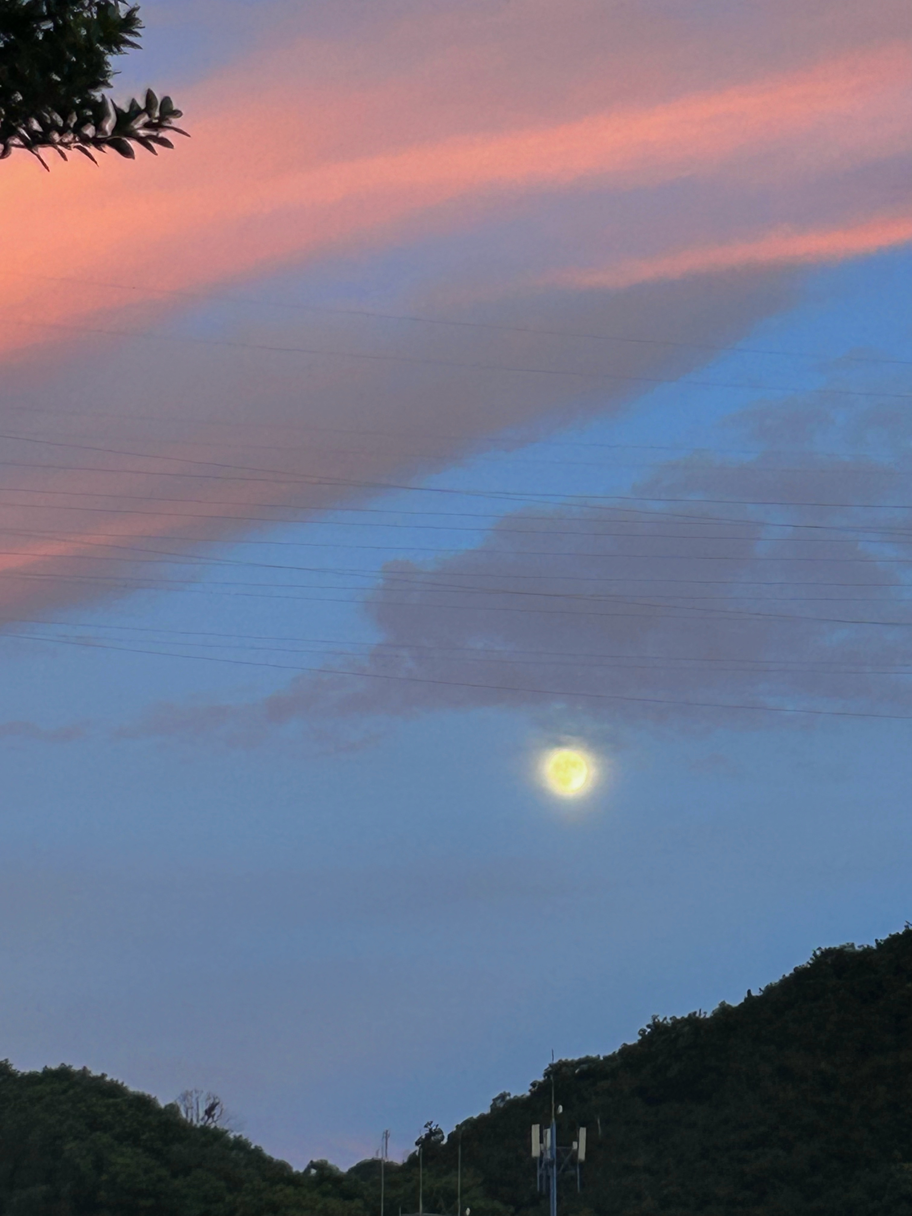 中秋快乐朋友们🎑🥮喜乐 安康 圆满🌕今晚的月亮又大又清晰!!(拍不出来 ​