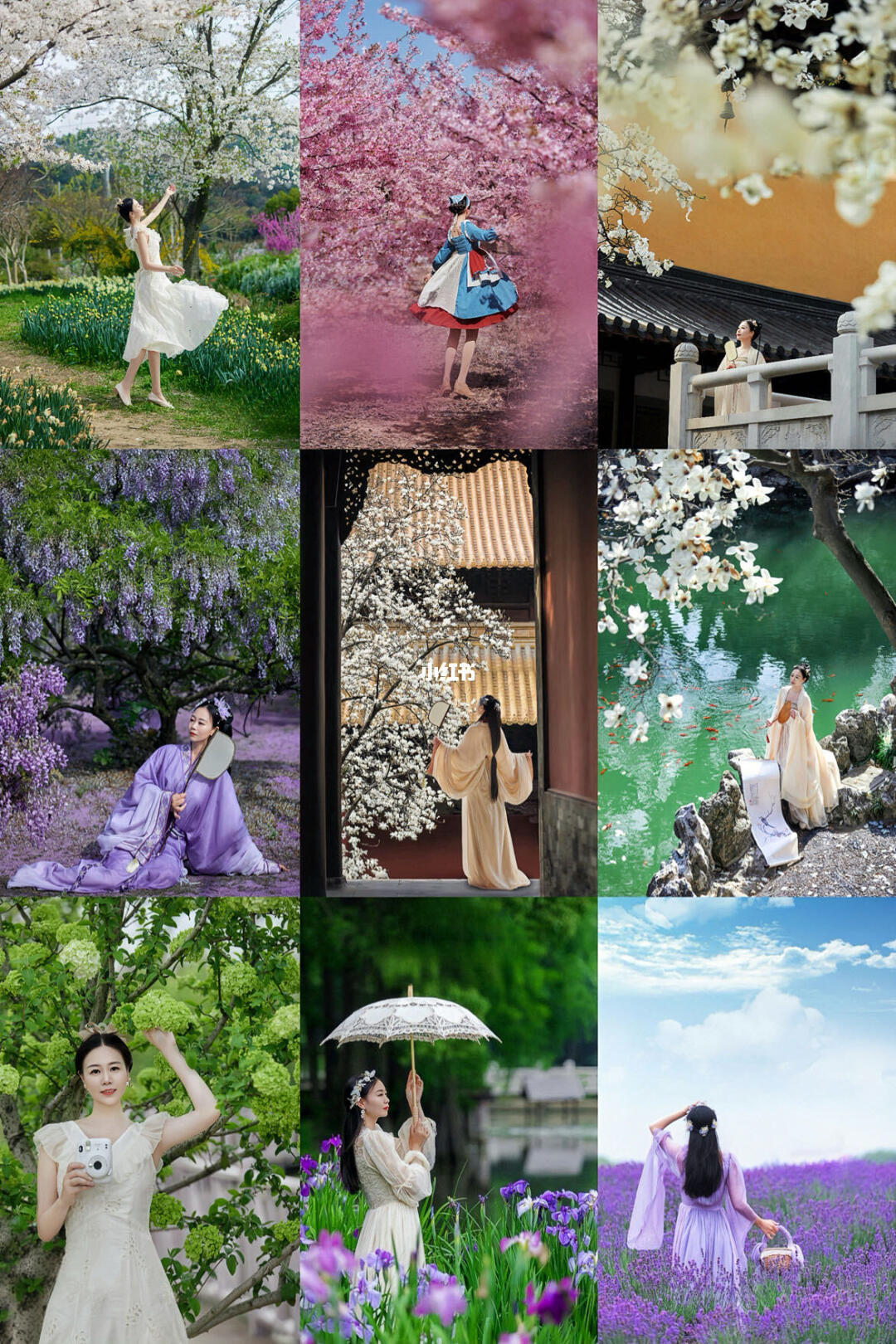 快冲～接下来的江苏🌸堪称国内赏花天花板❗️