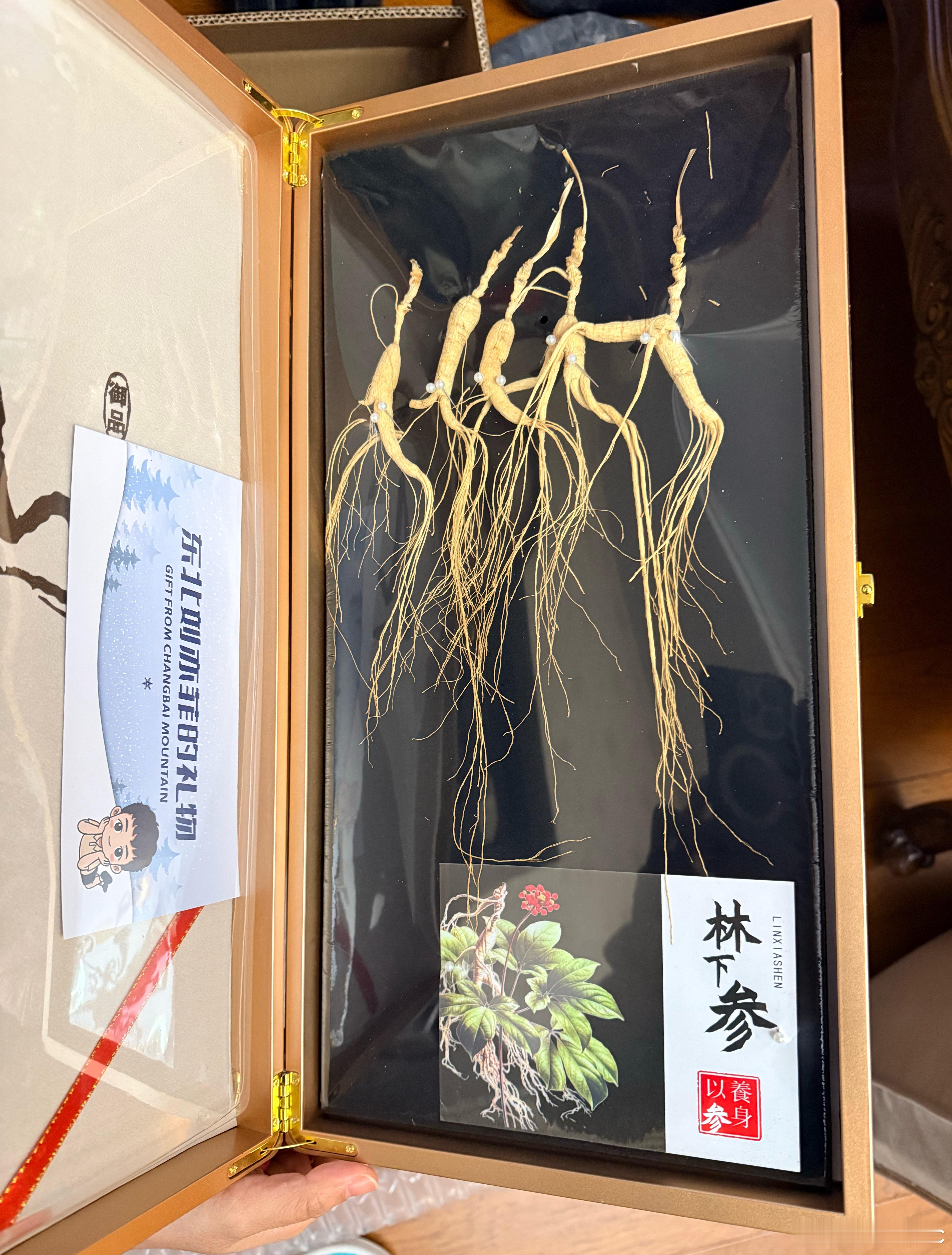 原来你就是刘亦菲啊