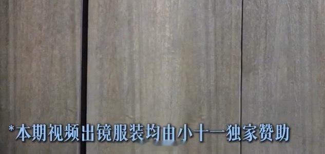 大鱼服装合集蟑螂狮子奶茶蜘蛛花生 
