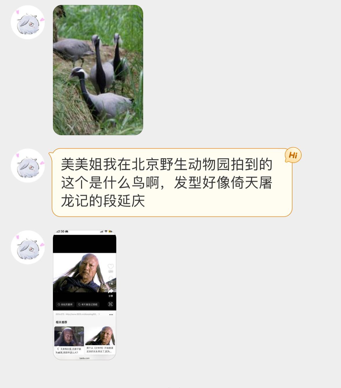 蓑羽鹤：？？？ ​​​