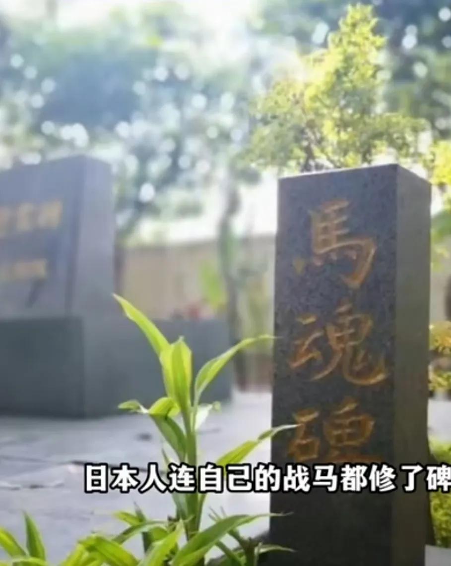 一位在缅甸寻找二战中国老兵墓地的博主十分感慨，日本人在这方面，比我们做的好！
他