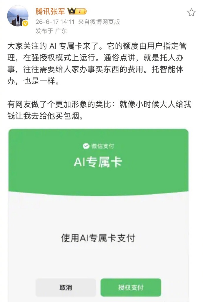 AI支付 相当于是给AI一个钱包额度，让它做些支付操作的时候可以用里面的钱，给智