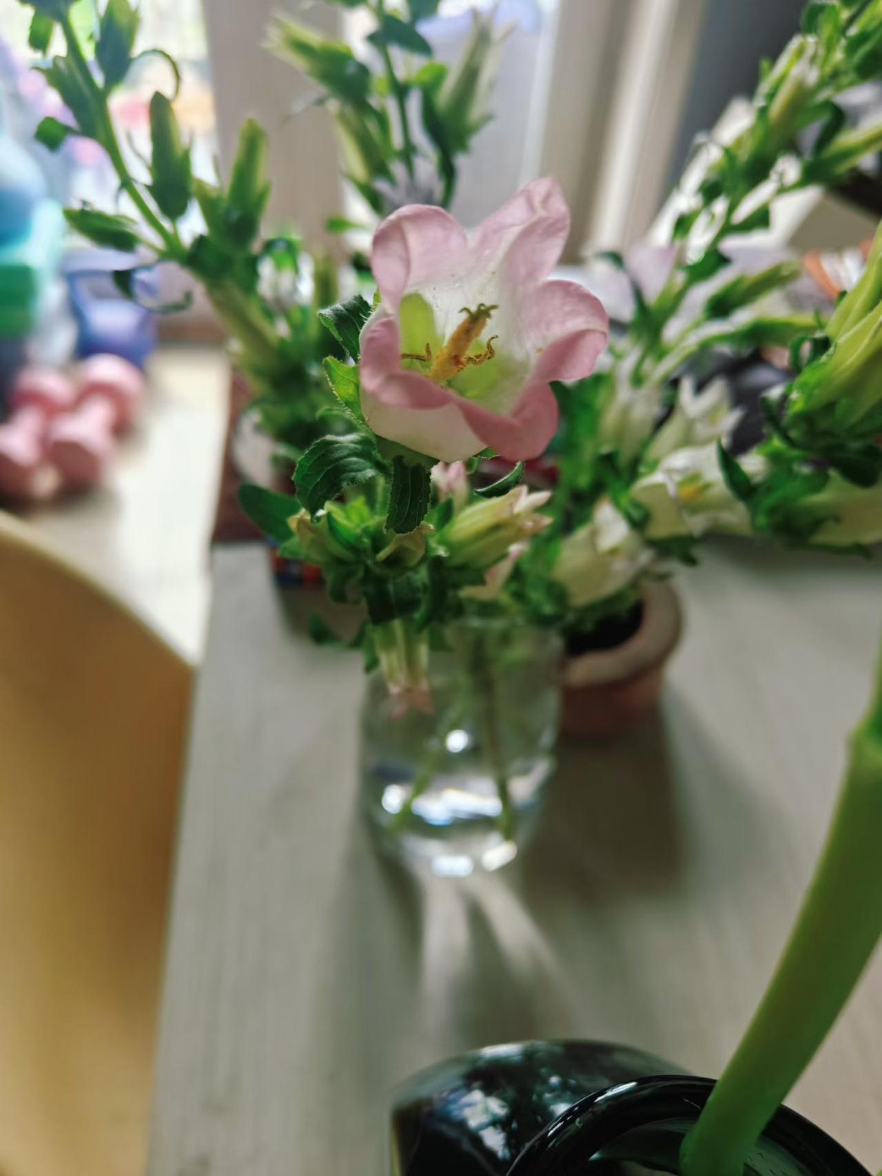 现在换的领导特别坏，连我们经理都要被他气得快吐血


他每天逼我们要多收钱，必须