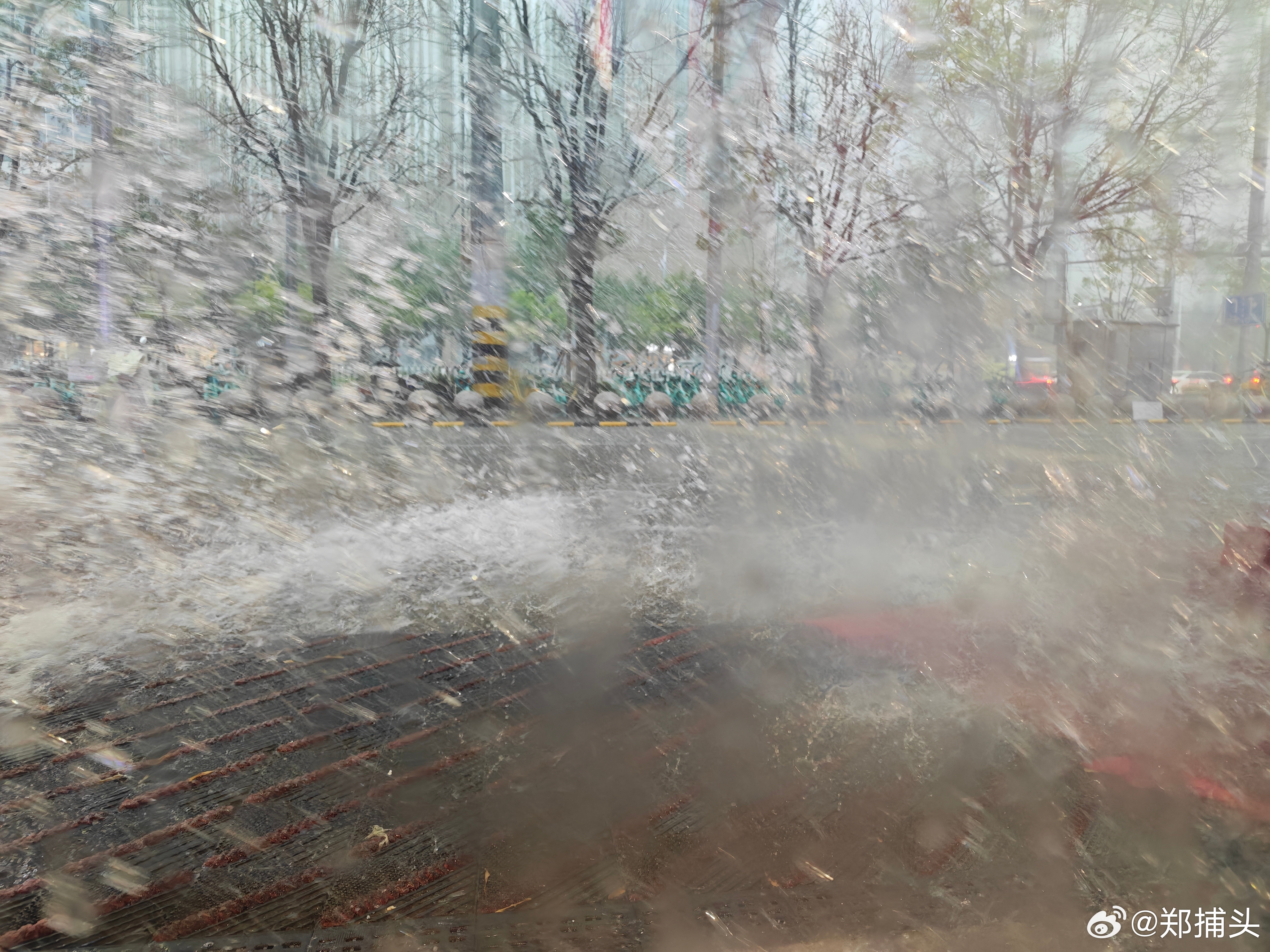 在家待了一天。半小时前扣子说，看这晴空万里的，咱们出门吃个饭吧。这是此时此刻，小