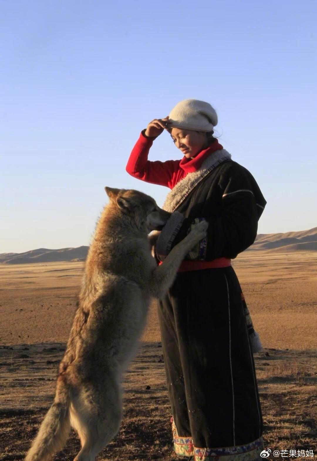 李微漪和亦风最后一次在电影院看格林，还买了狐狸和格林的半价票，在妈妈眼里他俩永远