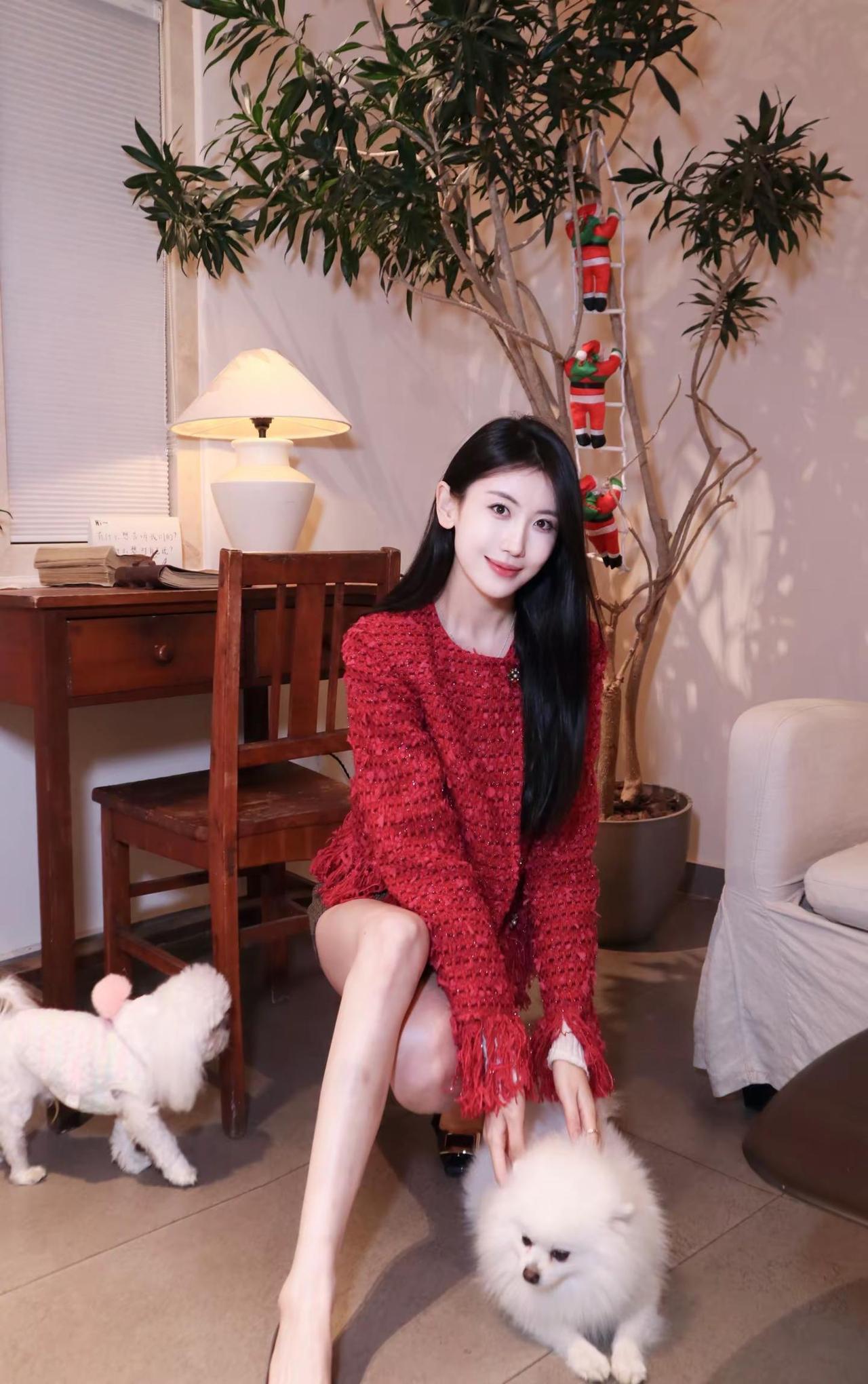 🎄•͈˽•͈🎄。分享