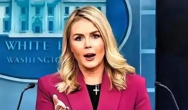 中日闹那么多天，躲在日本背后的第二条大鱼被我们钓了出来这条大鱼不是别的，正是一直