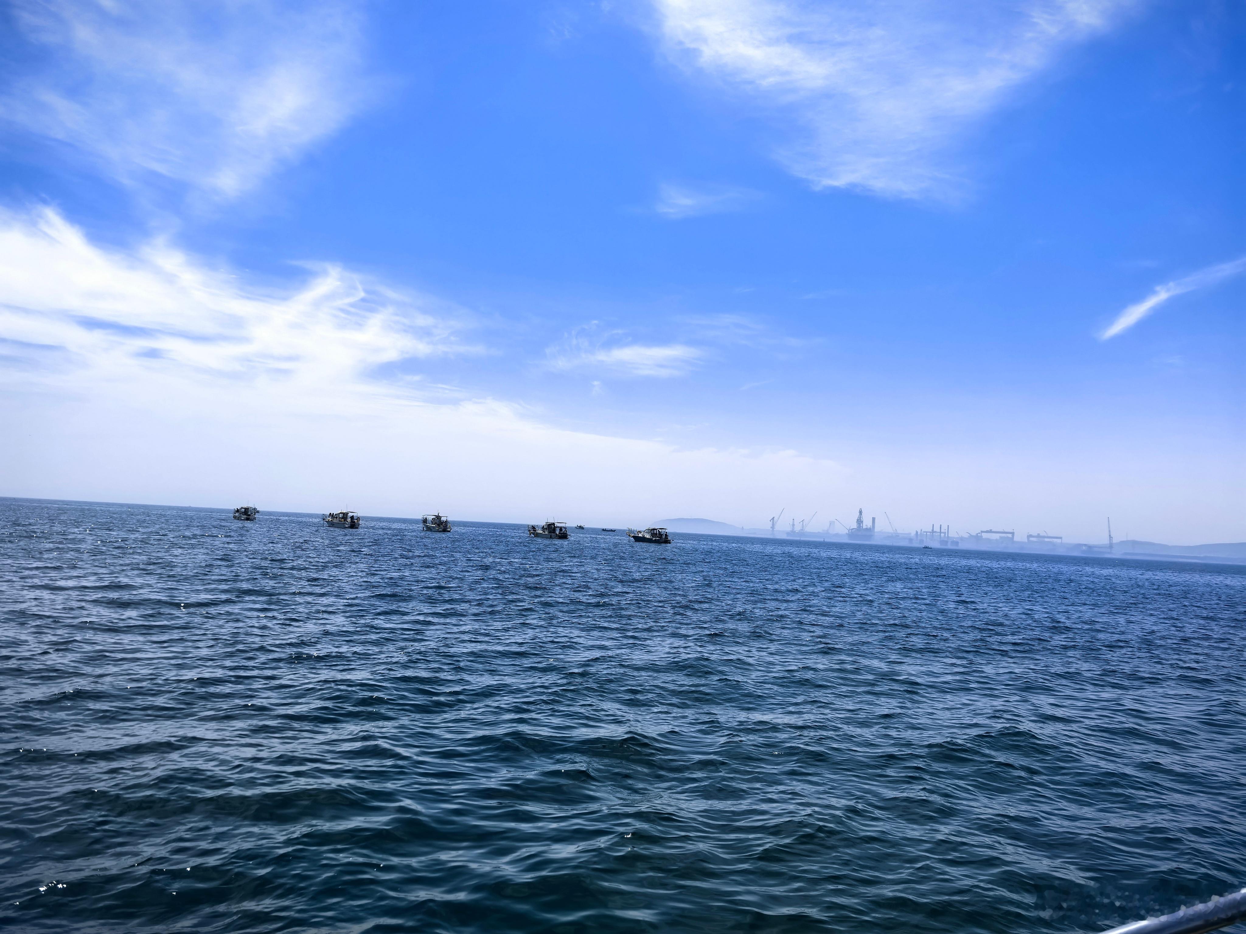 阳光信用阳光‎信用 4.阳光，是前行的火，点亮我们前行的灯；阳光，是前行的灯，照